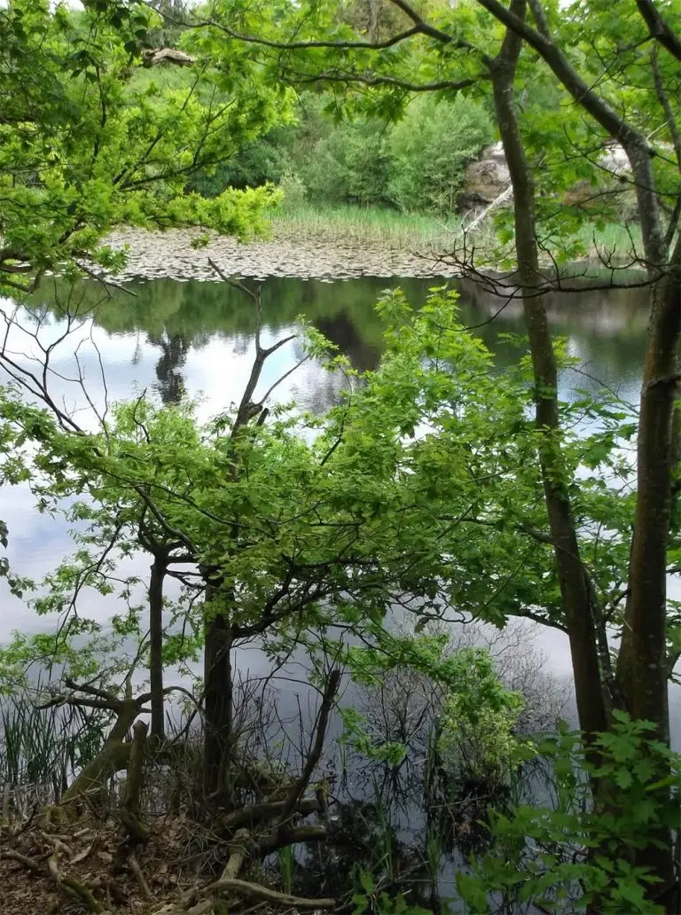 lake_potrait