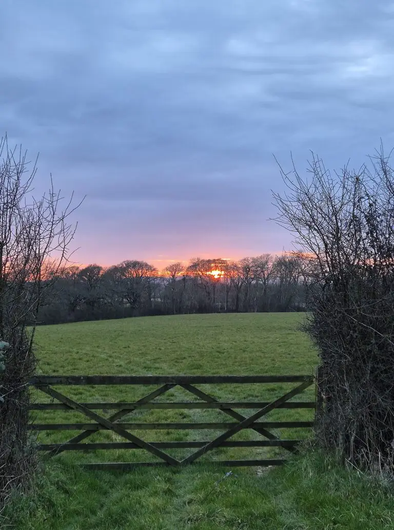 sunset_gate2