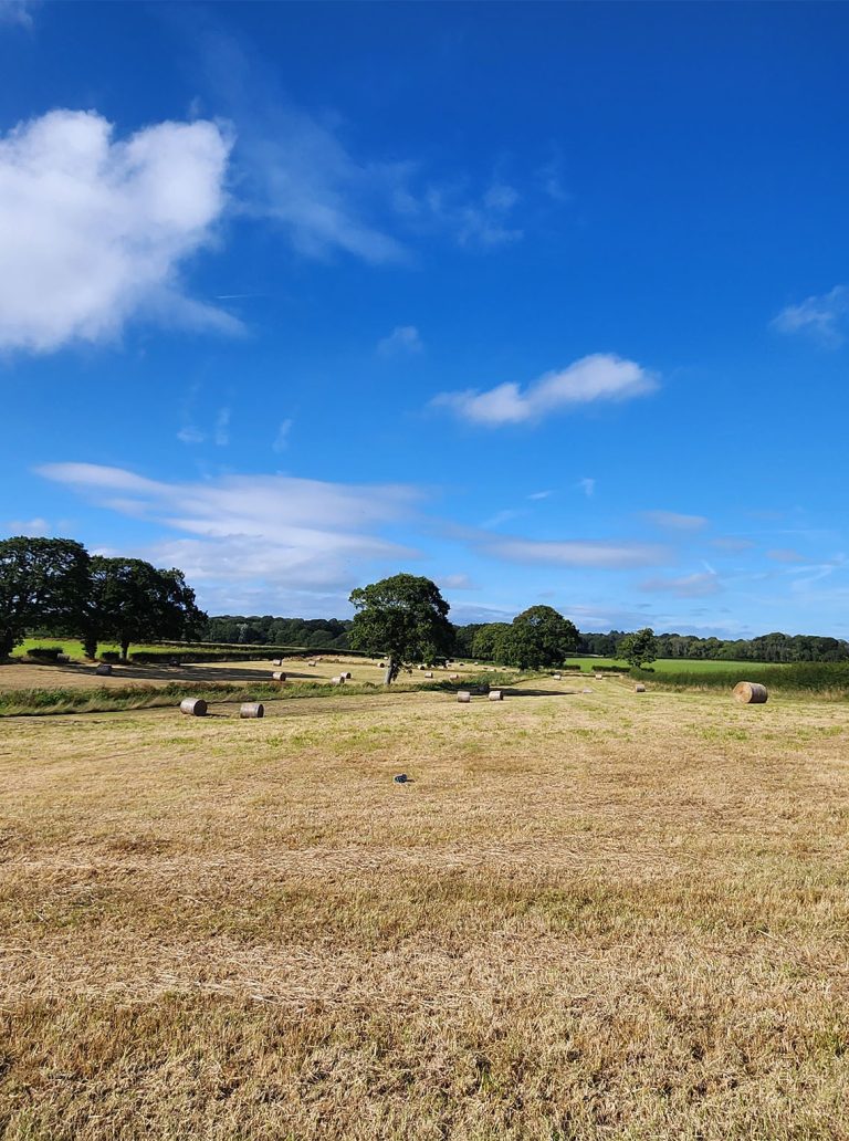 w_t_hay_bale_field