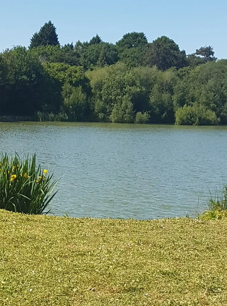 w_t_lake2