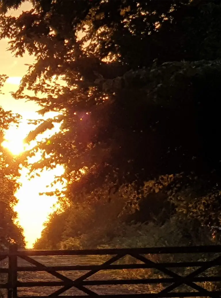 w_t_sunset_gate